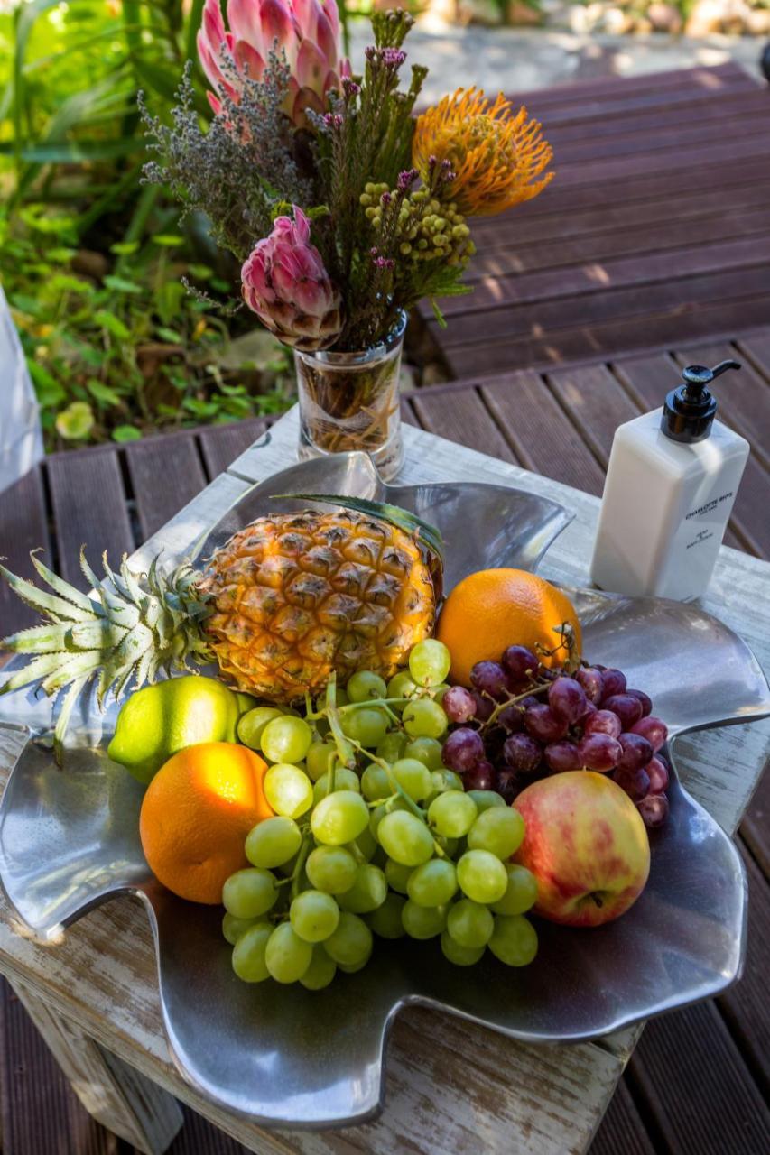 Ocean Lounge Lodge Cape Town